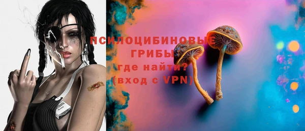 ПСИЛОЦИБИНОВЫЕ ГРИБЫ Армянск