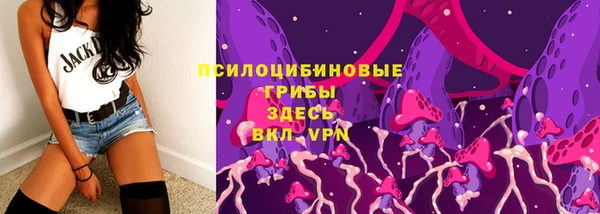 метадон Арсеньев