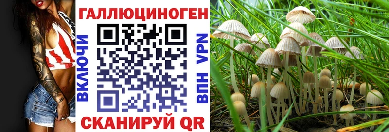 Галлюциногенные грибы Psilocybe  Струнино 